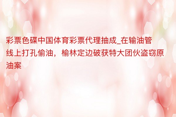 彩票色碟中国体育彩票代理抽成_在输油管线上打孔偷油，榆林定边破获特大团伙盗窃原油案