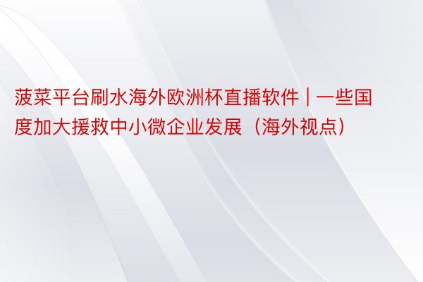 菠菜平台刷水海外欧洲杯直播软件 | 一些国度加大援救中小微企业发展（海外视点）