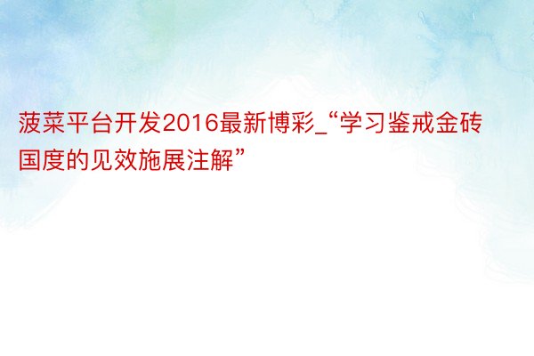 菠菜平台开发2016最新博彩_“学习鉴戒金砖国度的见效施展注解”